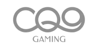 Gaming Partner 6 logo